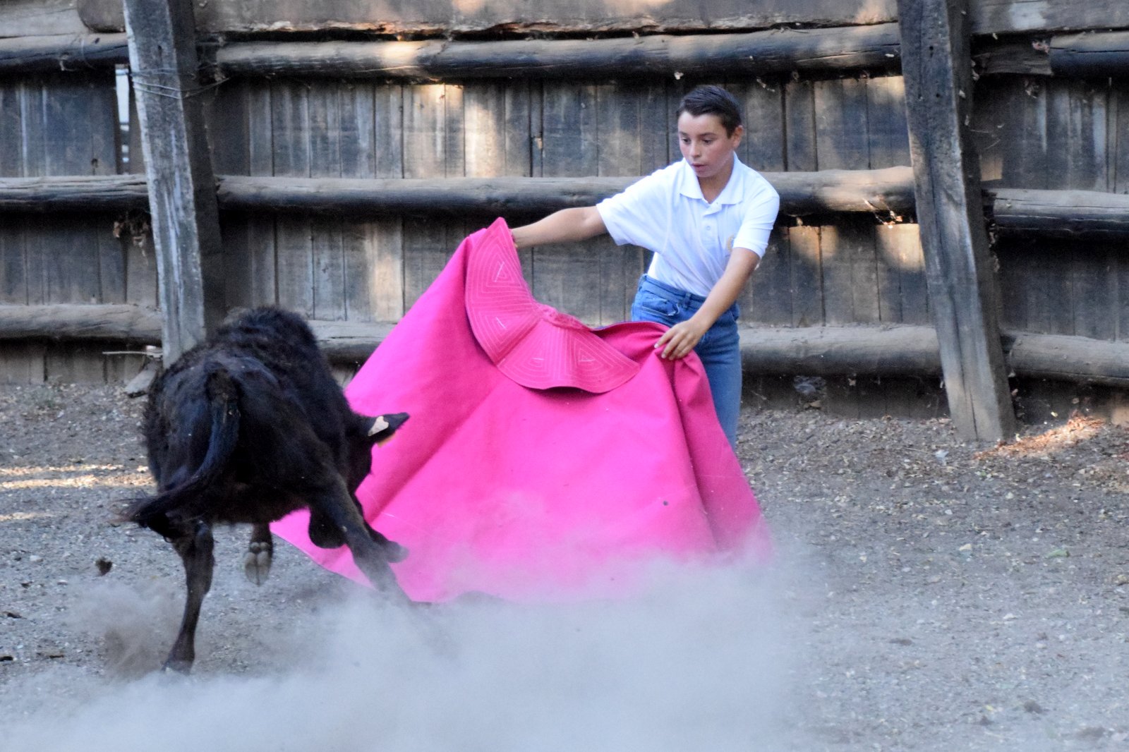 Nos tout-petits en action !!! Nos tout-petits en action !!!