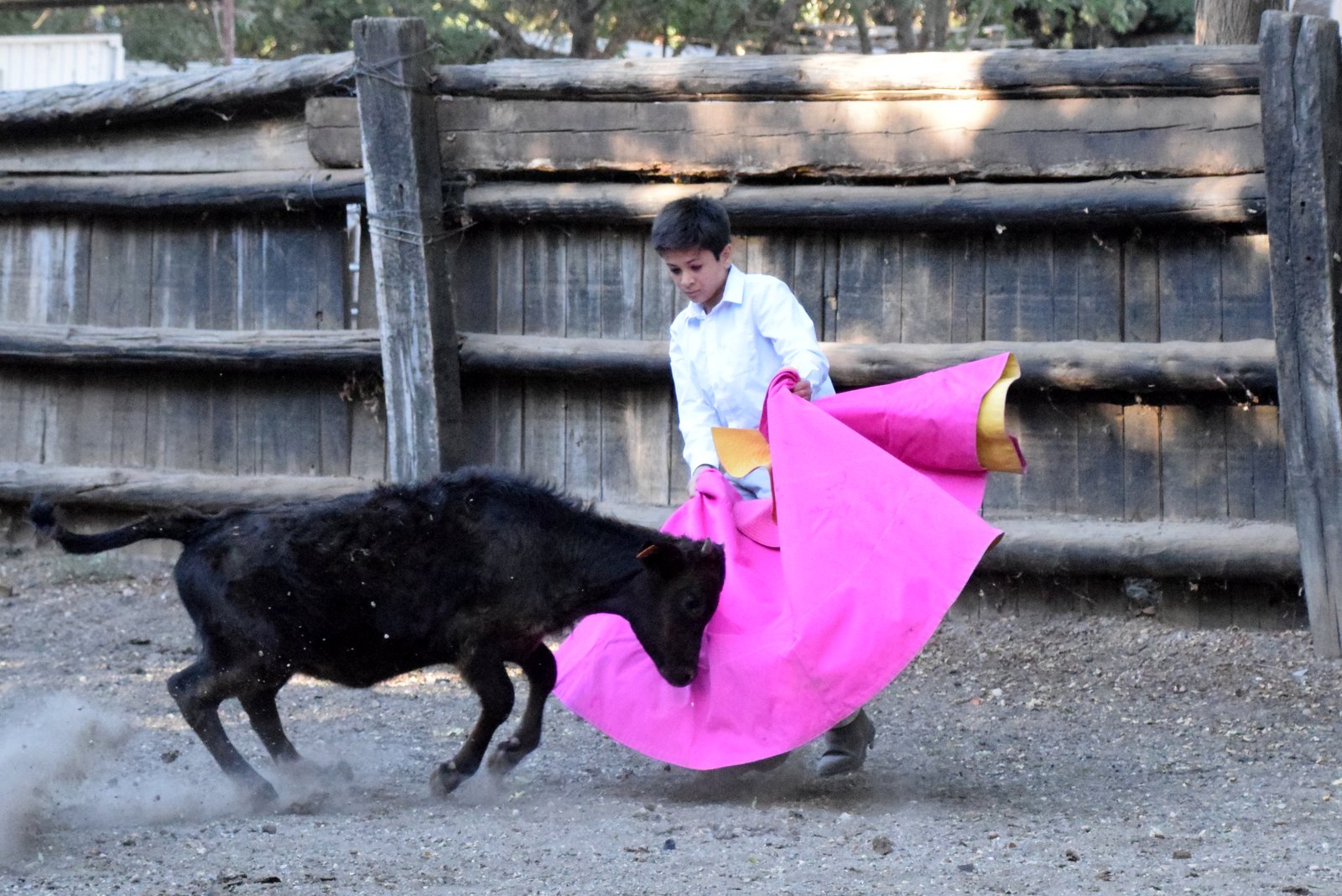 Nos tout-petits en action !!! Nos tout-petits en action !!!