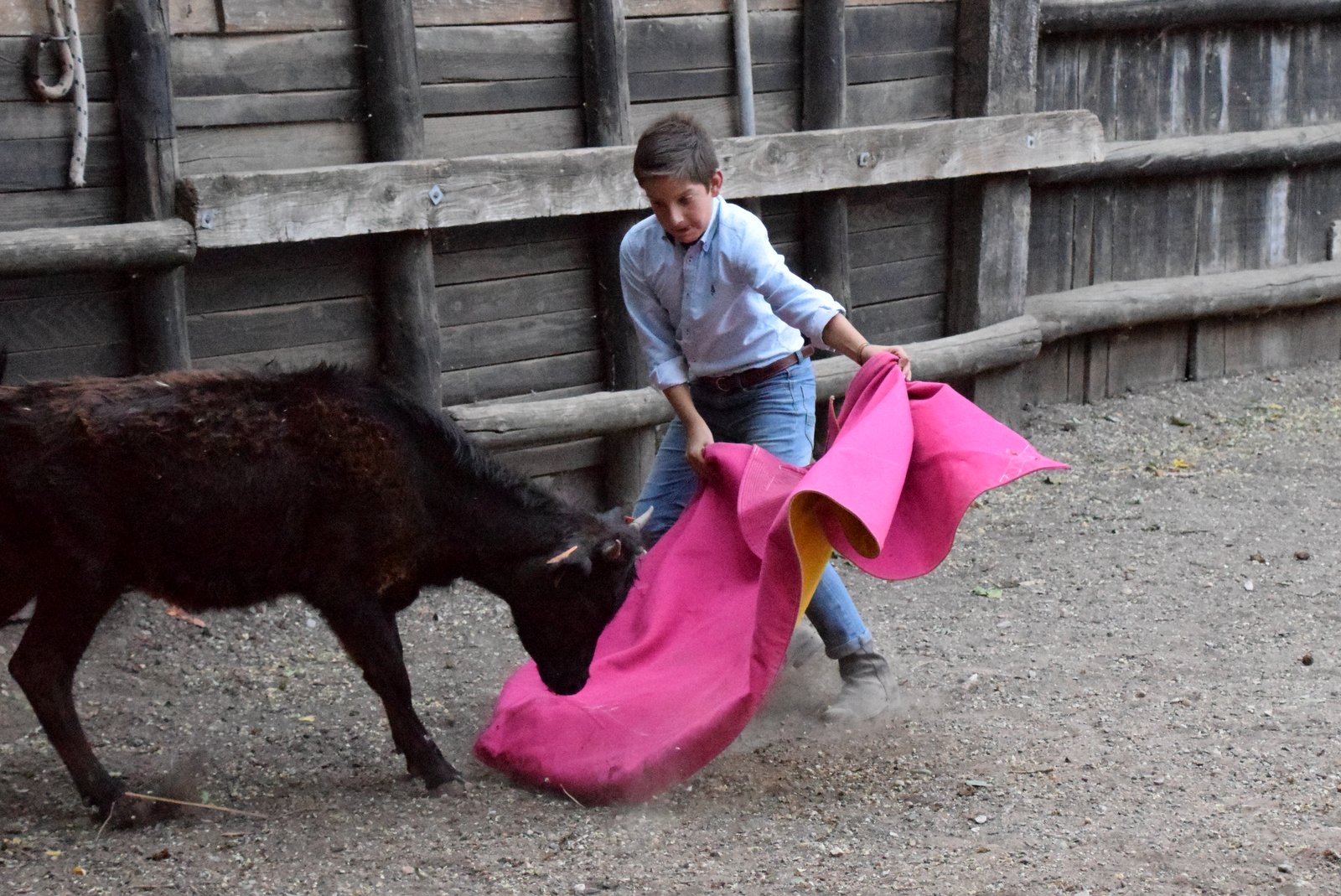 Nos tout-petits en action !!! Nos tout-petits en action !!!