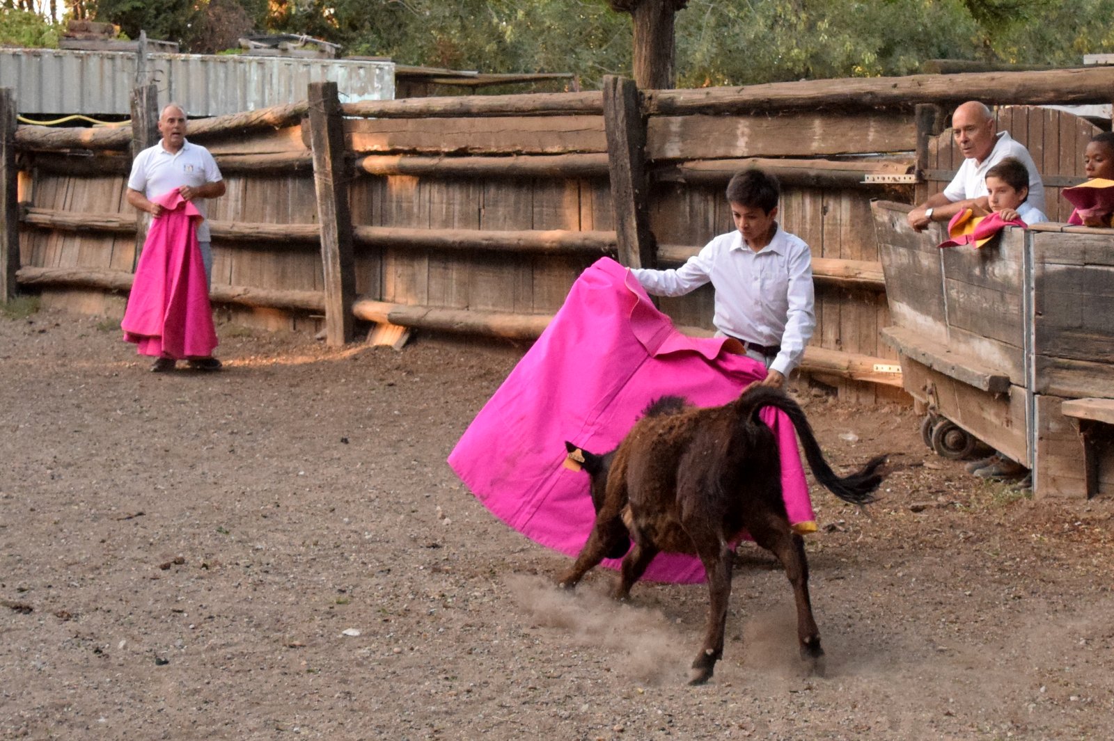 Nos tout-petits en action !!! Nos tout-petits en action !!!