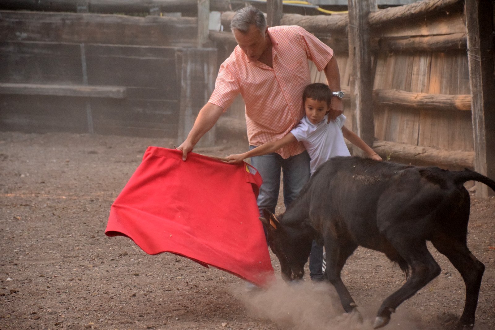Nos tout-petits en action !!!