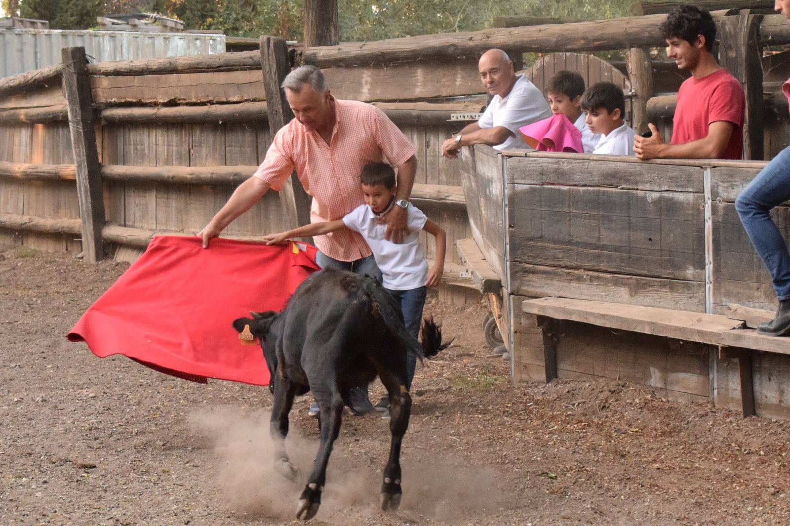 Nos tout-petits en action !!!