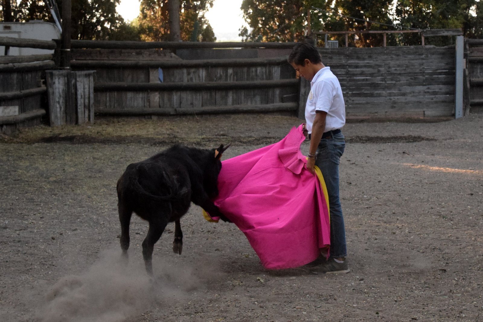 Nos tout-petits en action !!! Nos tout-petits en action !!!