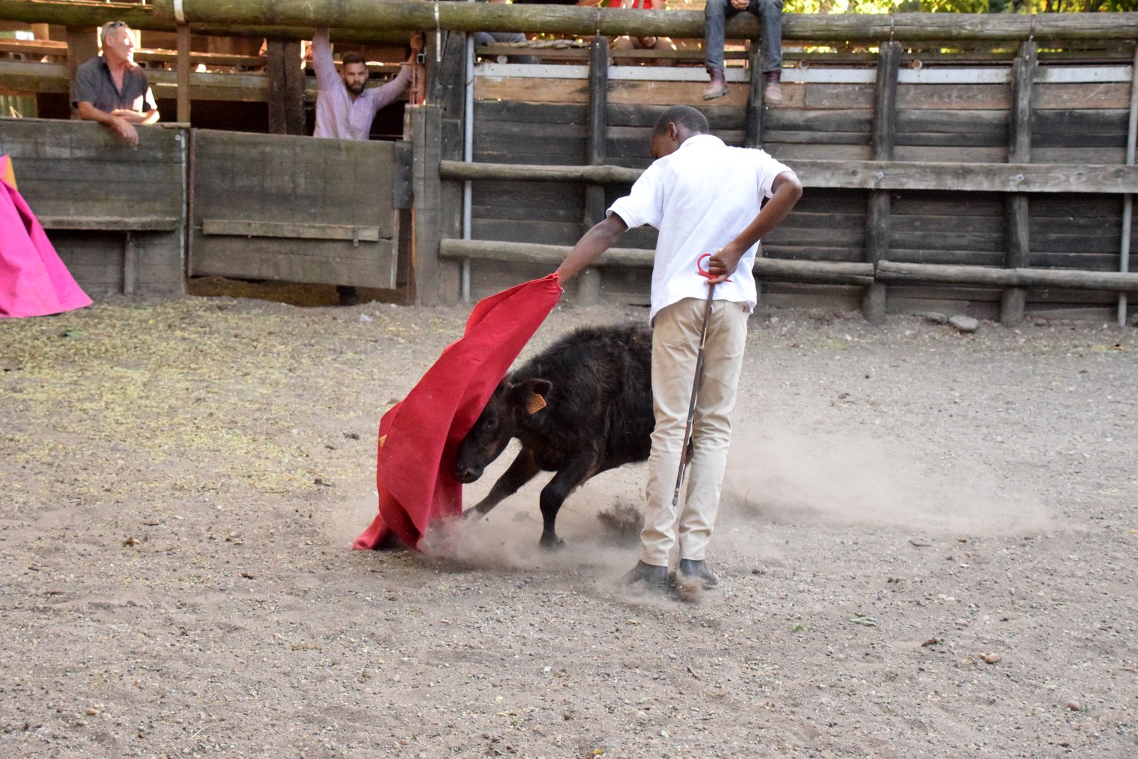 Nos tout-petits en action !!! Nos tout-petits en action !!!