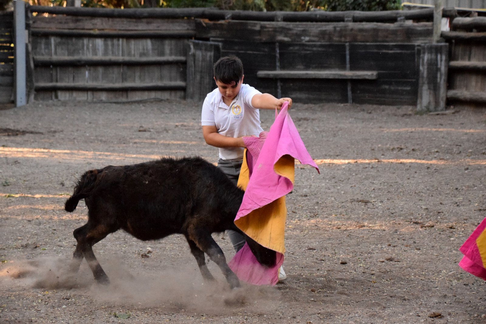 Nos tout-petits en action !!!