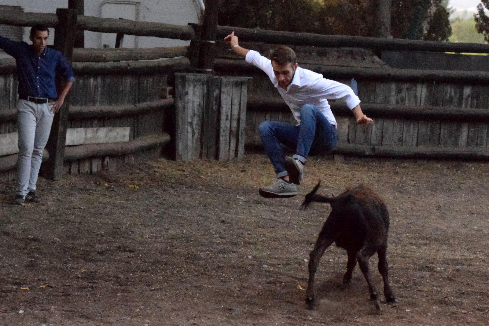 Canten saute au-dessus de l'énorme animal !!!