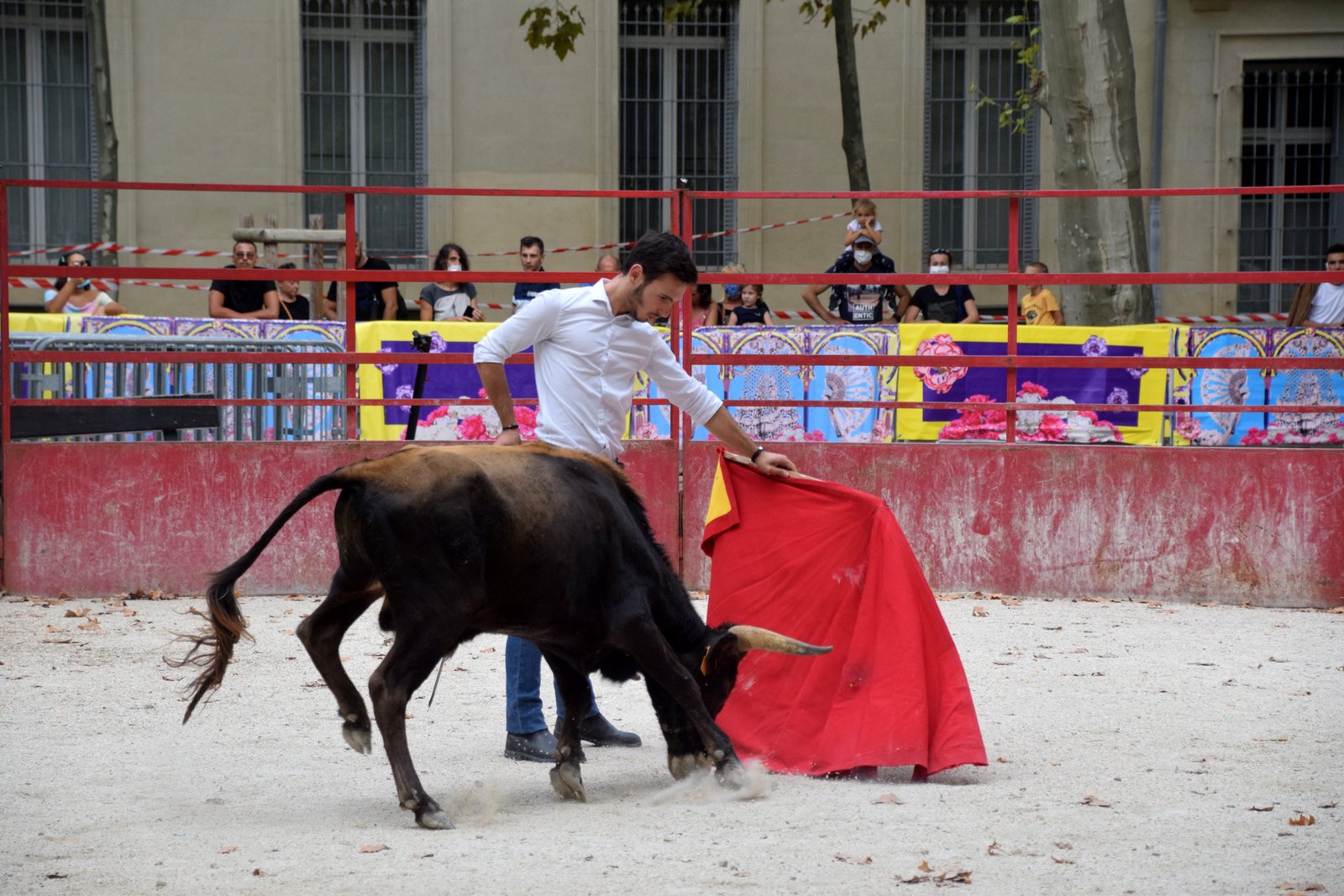 Le CFT au Bosquet pour la Feria des Vendanges 2020 Le CFT au Bosquet pour la Feria des Vendanges 2020