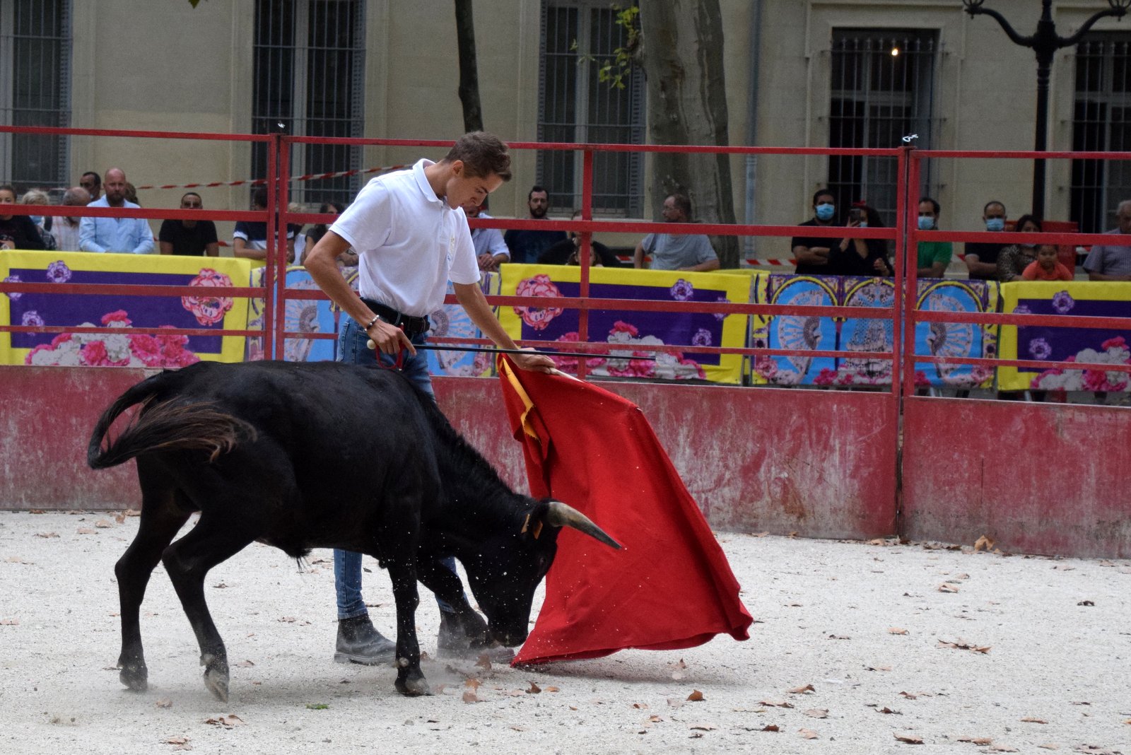 Le CFT au Bosquet pour la Feria des Vendanges 2020 Le CFT au Bosquet pour la Feria des Vendanges 2020
