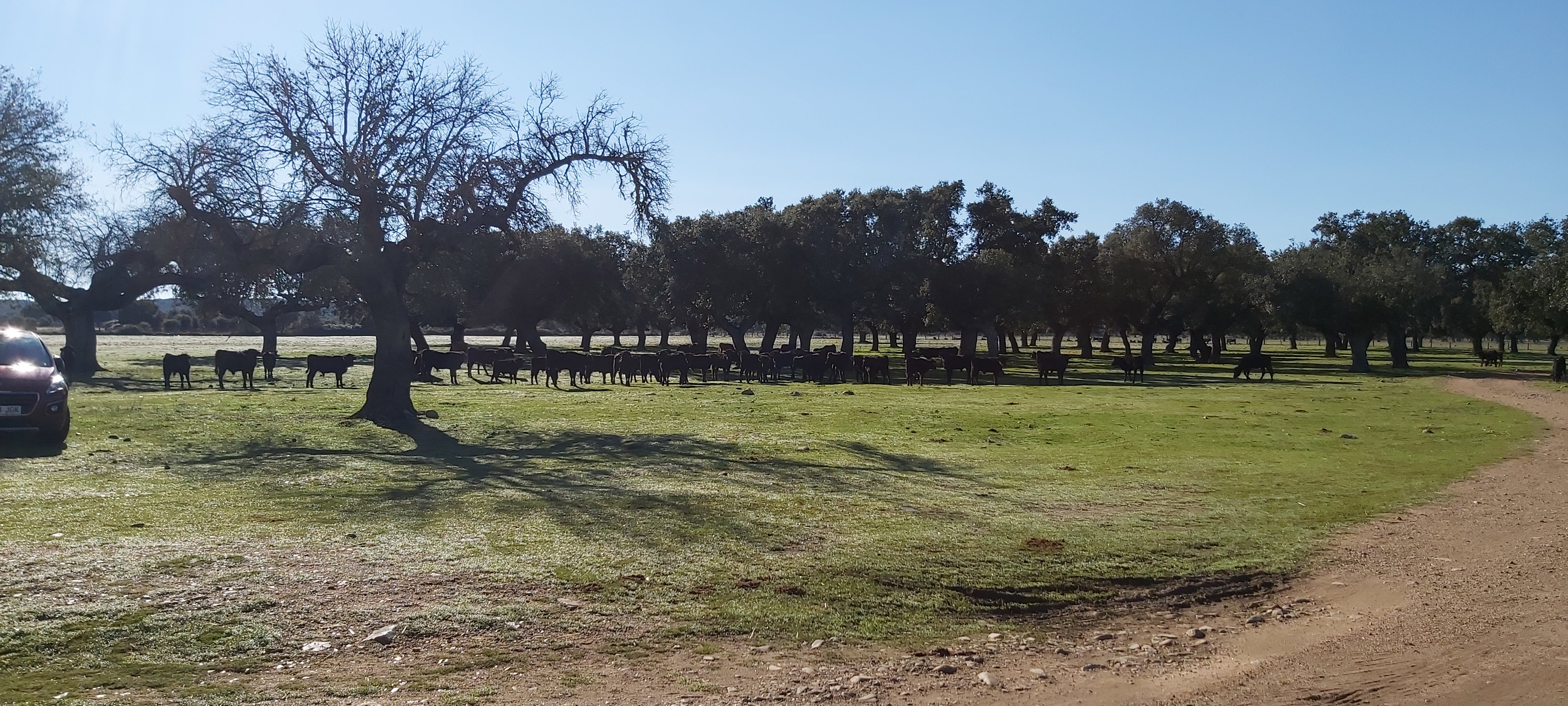 Les erales s'approchent Les erales s'approchent