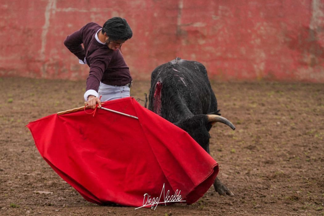 Des nouvelles de Nino JULIÁN…