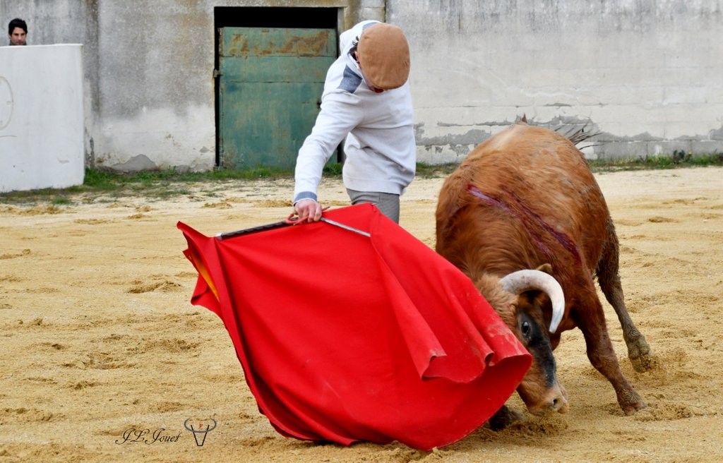La générosité de la Ganadera Dominique CUILLÉ La générosité de la Ganadera Dominique CUILLÉ