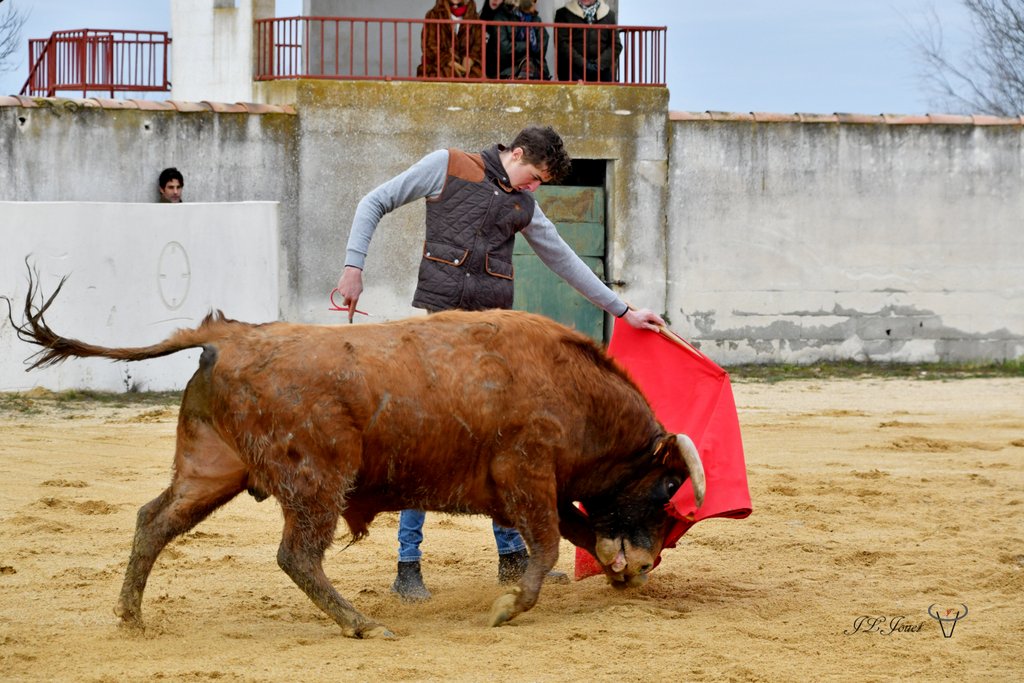 La générosité de la Ganadera Dominique CUILLÉ La générosité de la Ganadera Dominique CUILLÉ