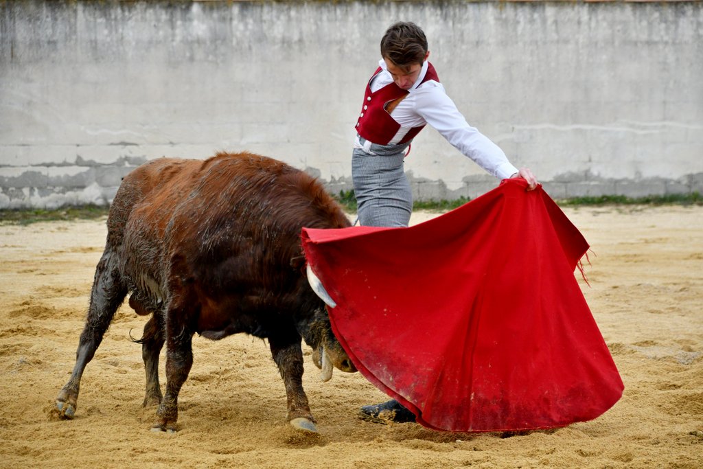 La générosité de la Ganadera Dominique CUILLÉ La générosité de la Ganadera Dominique CUILLÉ