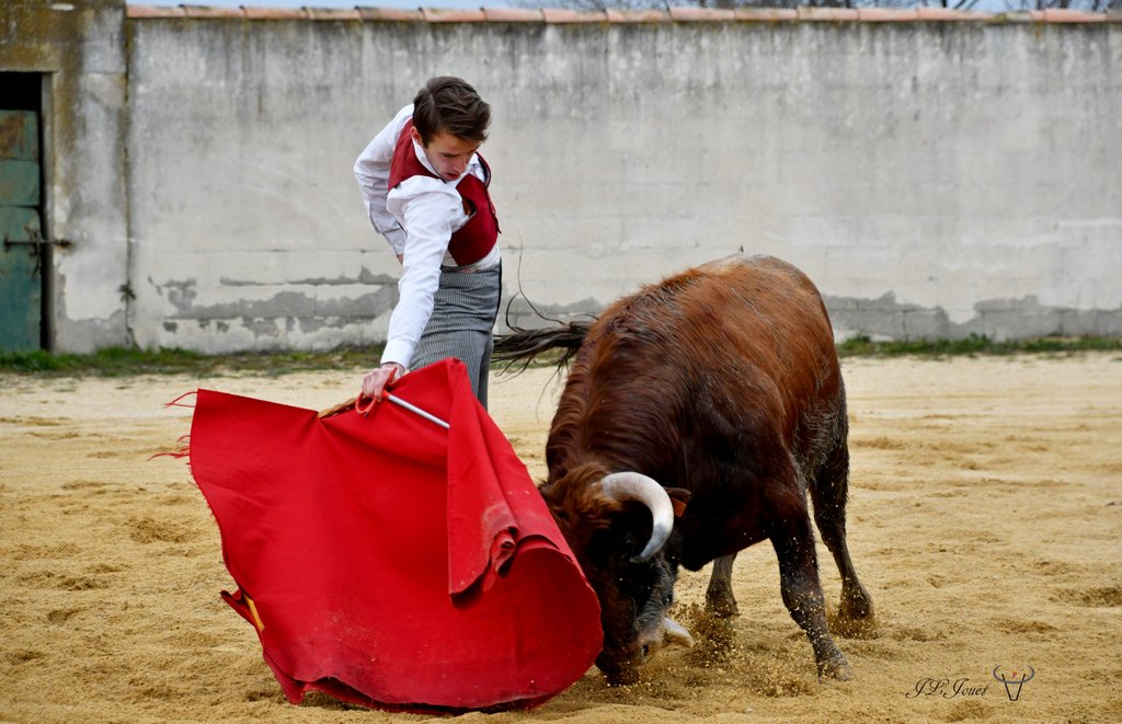 La générosité de la Ganadera Dominique CUILLÉ La générosité de la Ganadera Dominique CUILLÉ