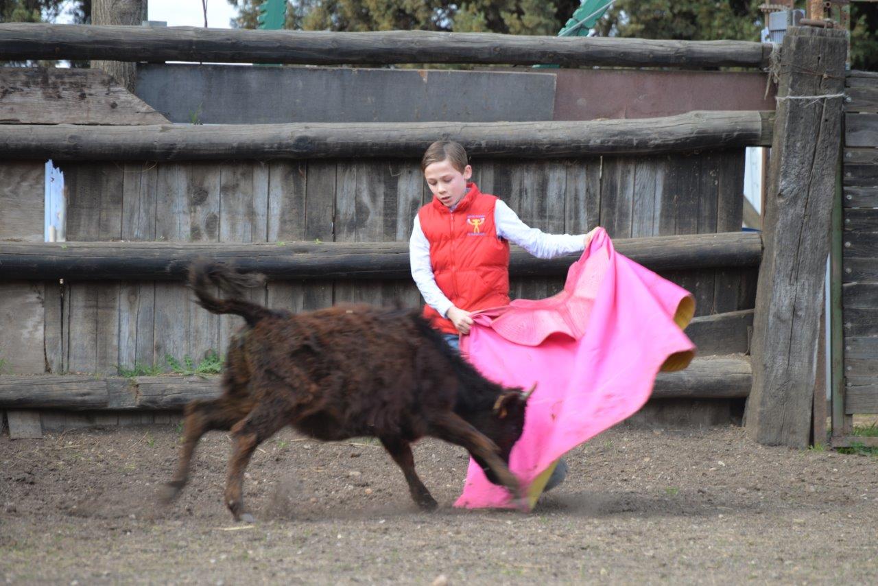 Encore un entraînement pour nos Minots Toreros