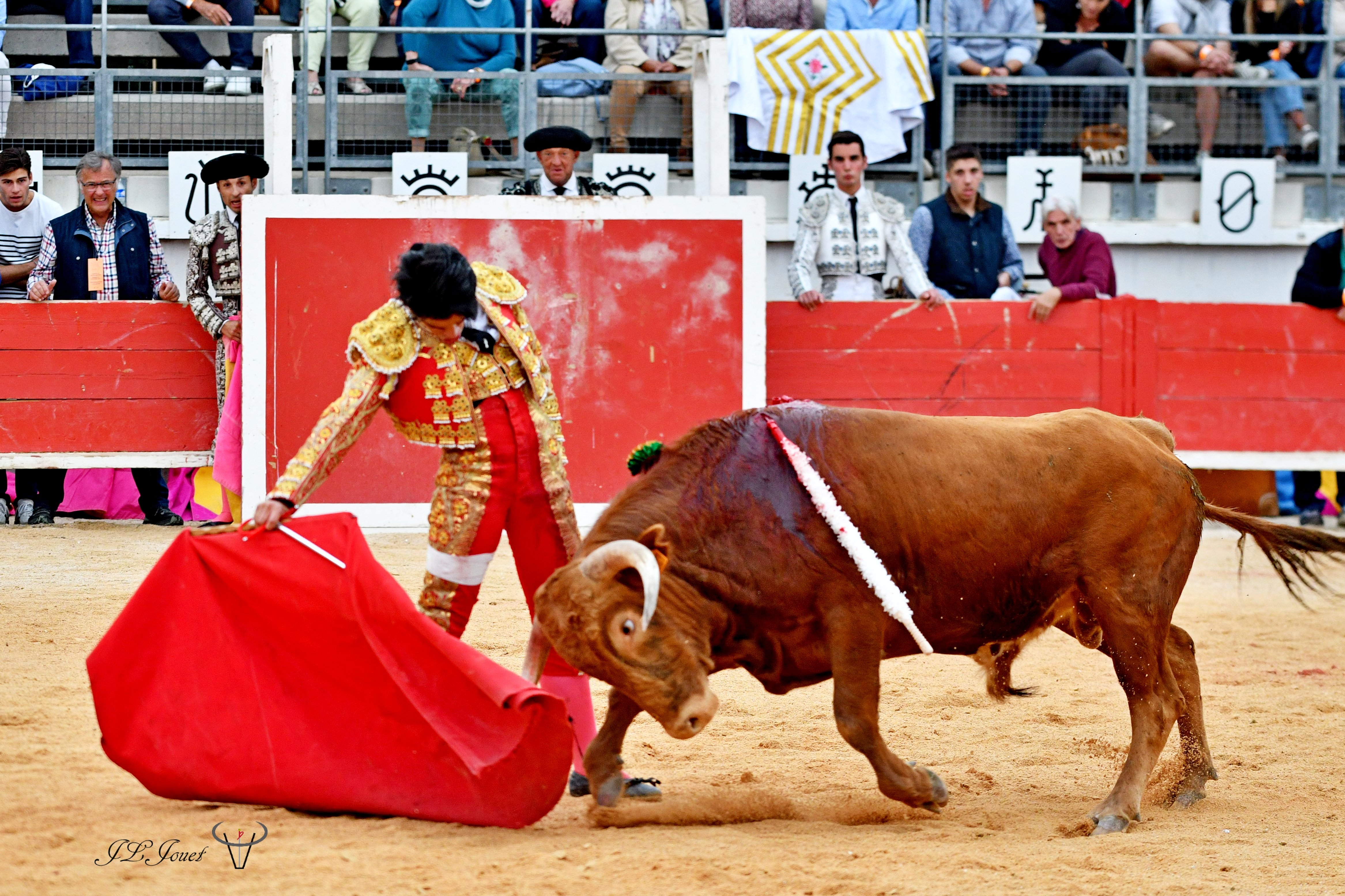 Nino Julián
