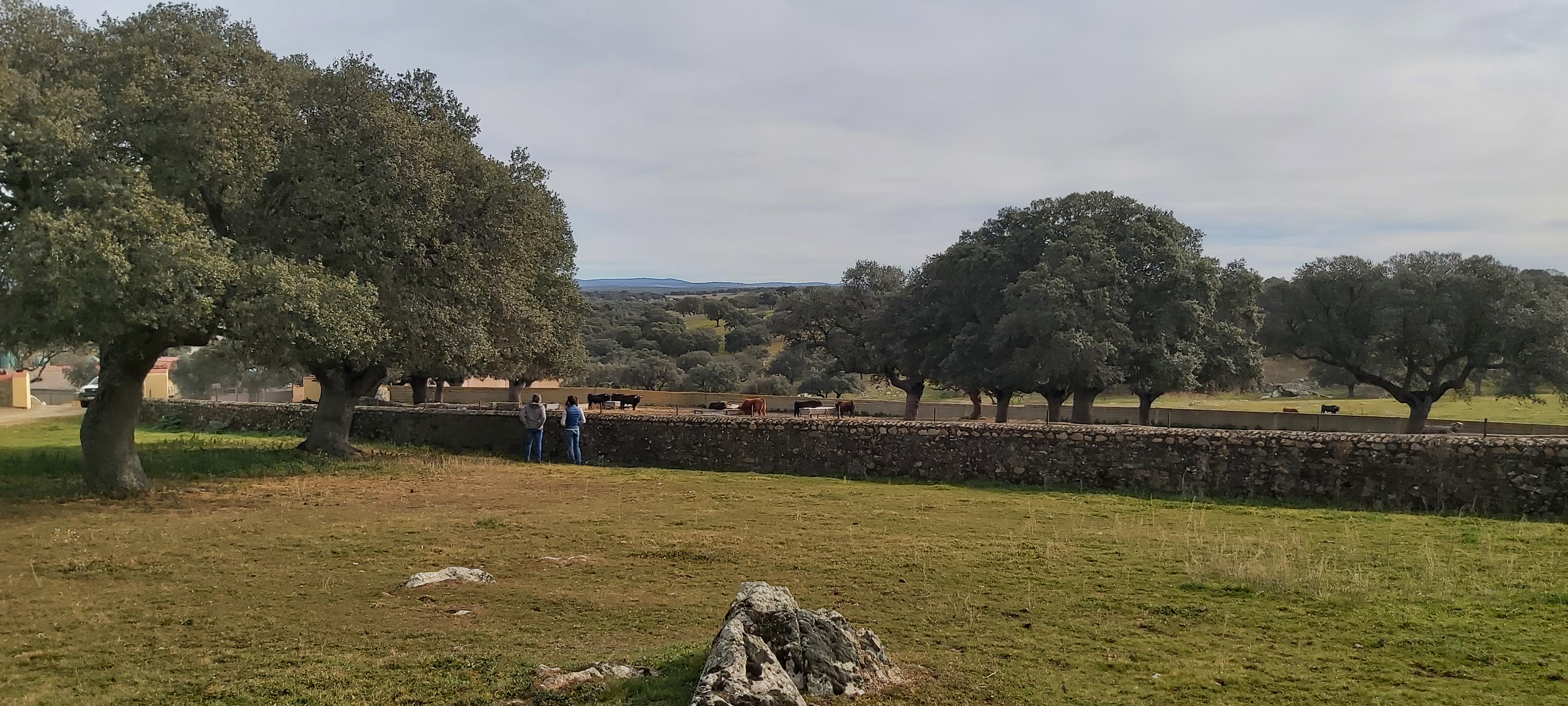 Chronique d'un stage à Salamanca...