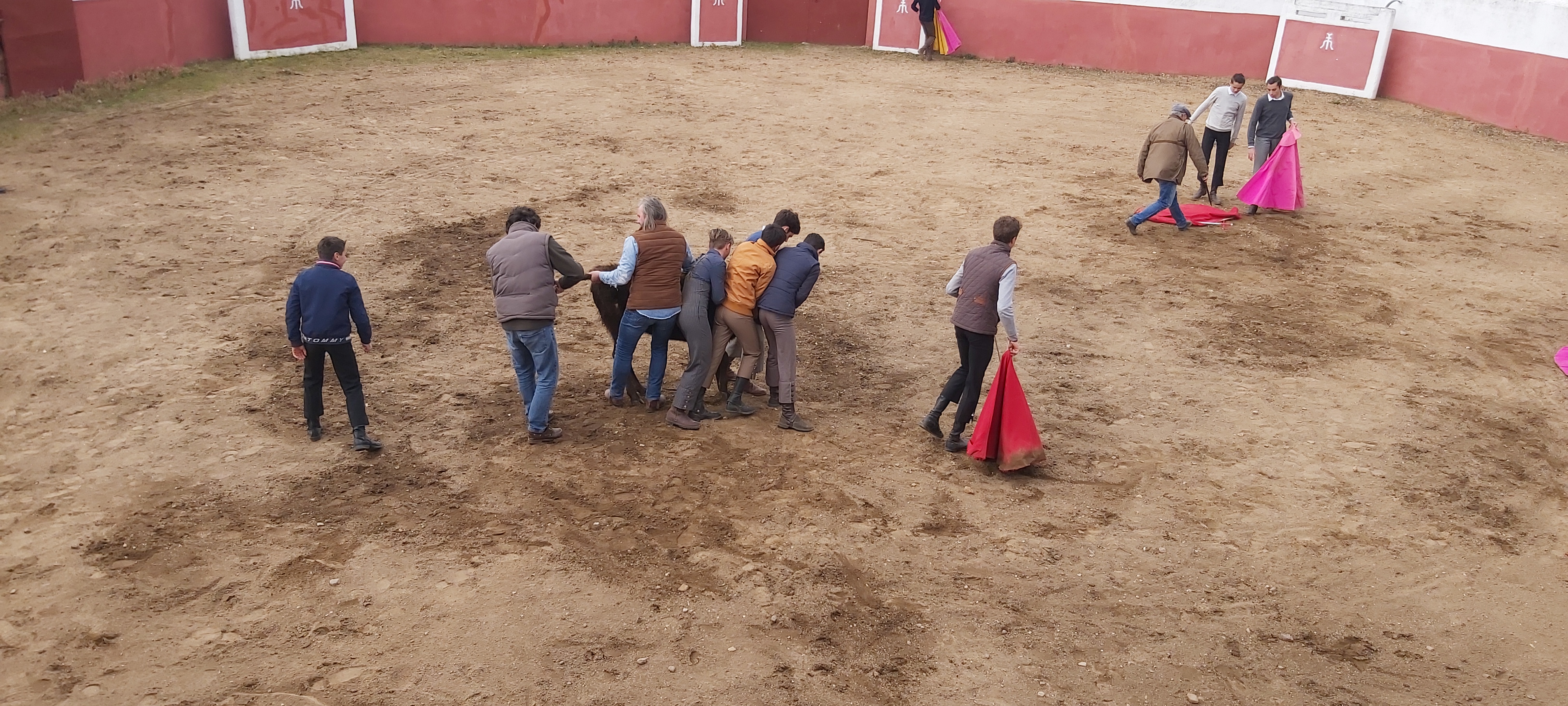 Chronique d'un stage à Salamanca...Suite