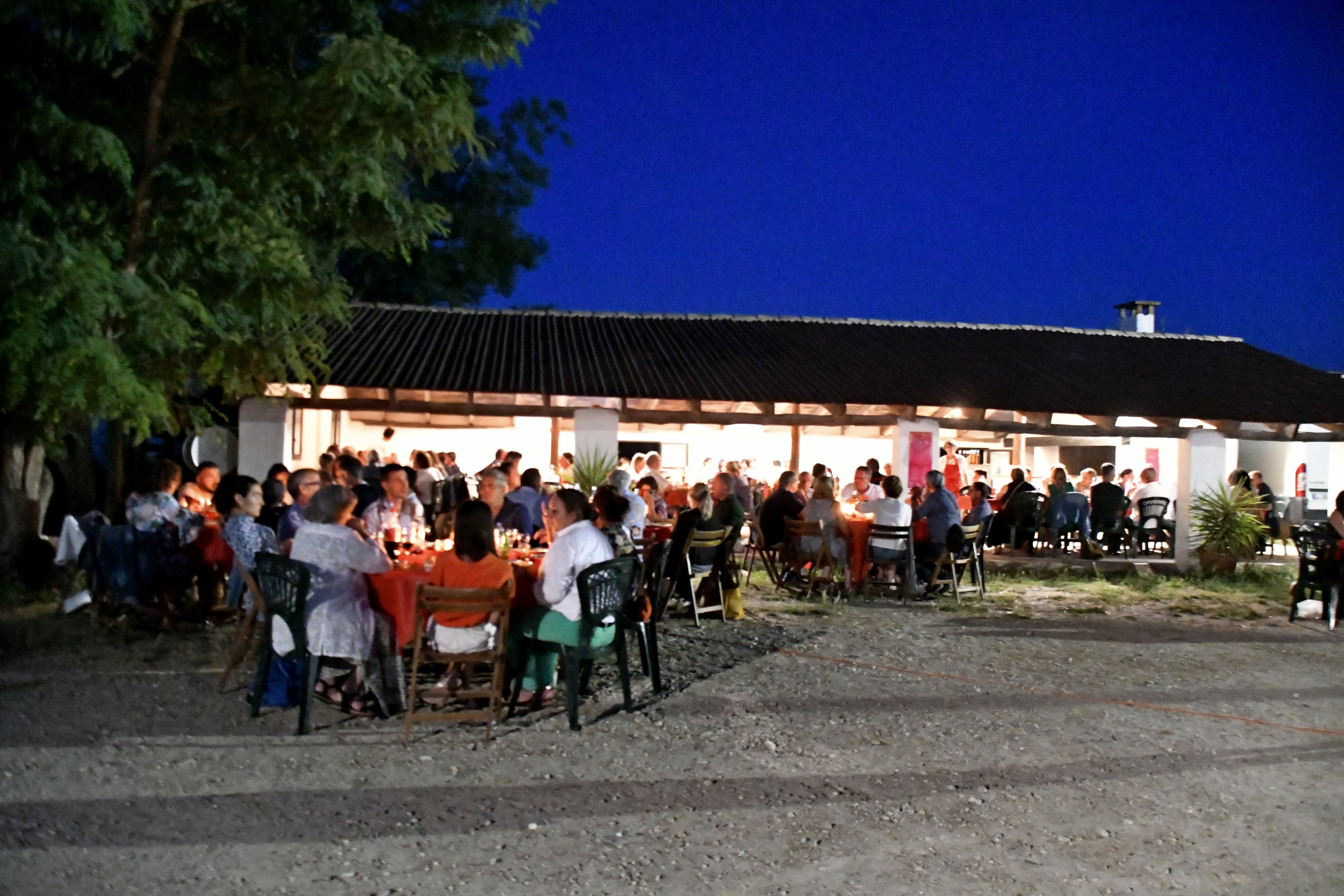 Fiesta Campera CFT - AFAP Fiesta Campera CFT - AFAP