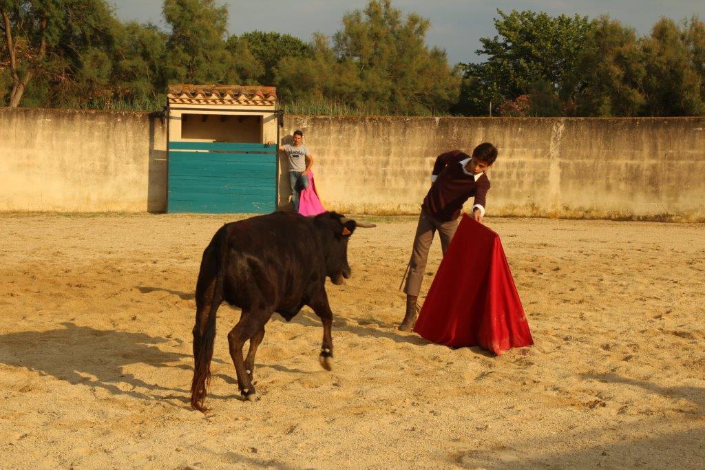 Tentadero pour les élèves du C.F.T.