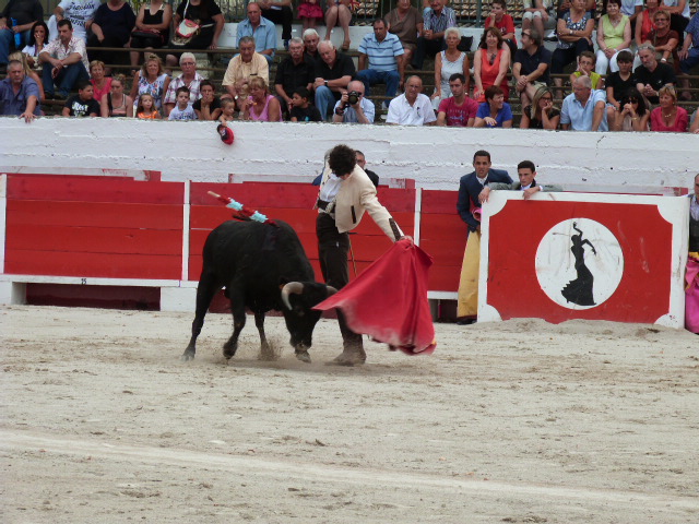 Tomas Ubeda vainqueur du Bolsin de Chateaurenard... Tomas Ubeda vainqueur du Bolsin de Chateaurenard...