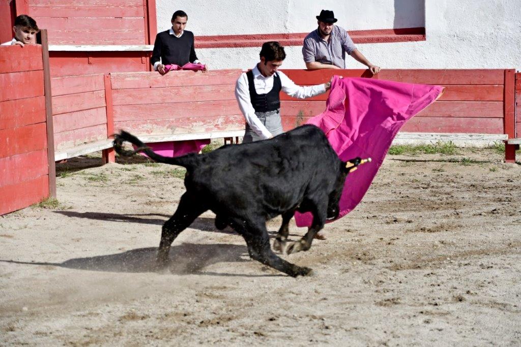 MANUEL