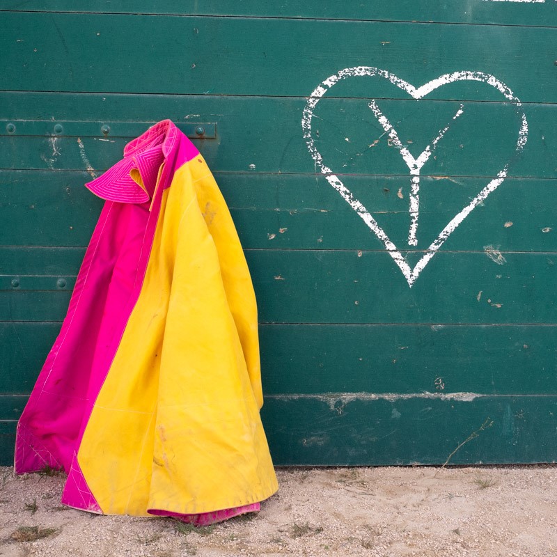 Le Centre Français de Tauromachie commence l'année en trombe                                                         Le Centre Français de Tauromachie commence l'année en trombe