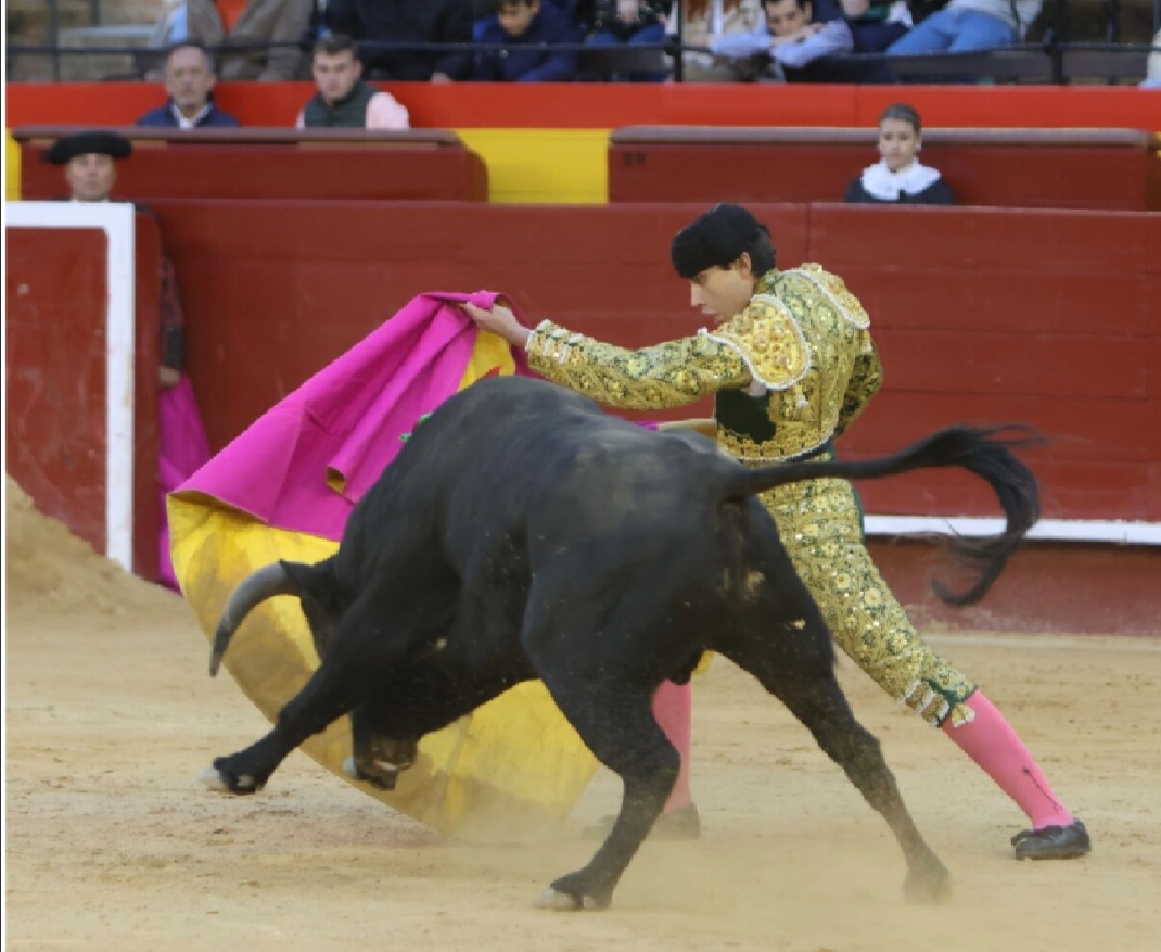 Valentín en Fallas 2024