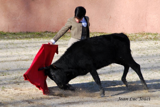 Nino a la Ganaderia La Paluna