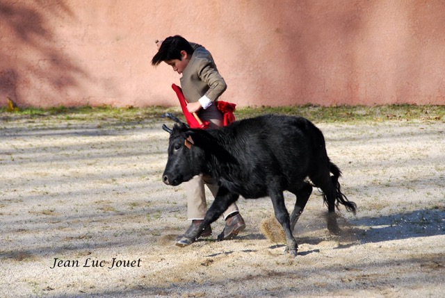 Nino a la Ganaderia La Paluna