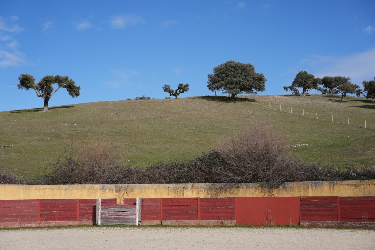 Des nouvelles du Centre Français de Tauromachie
