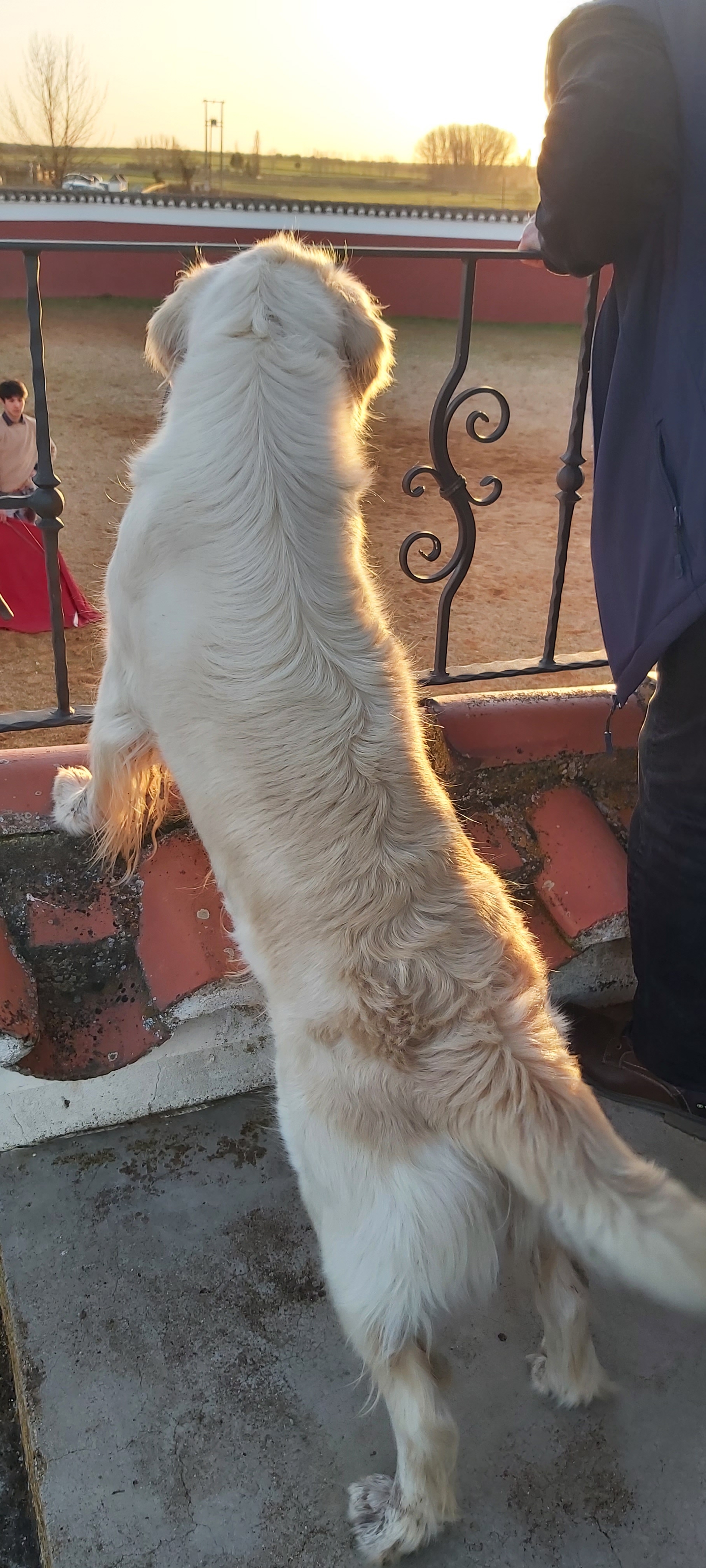 Chroniques salmantines 2026 - Jour 4