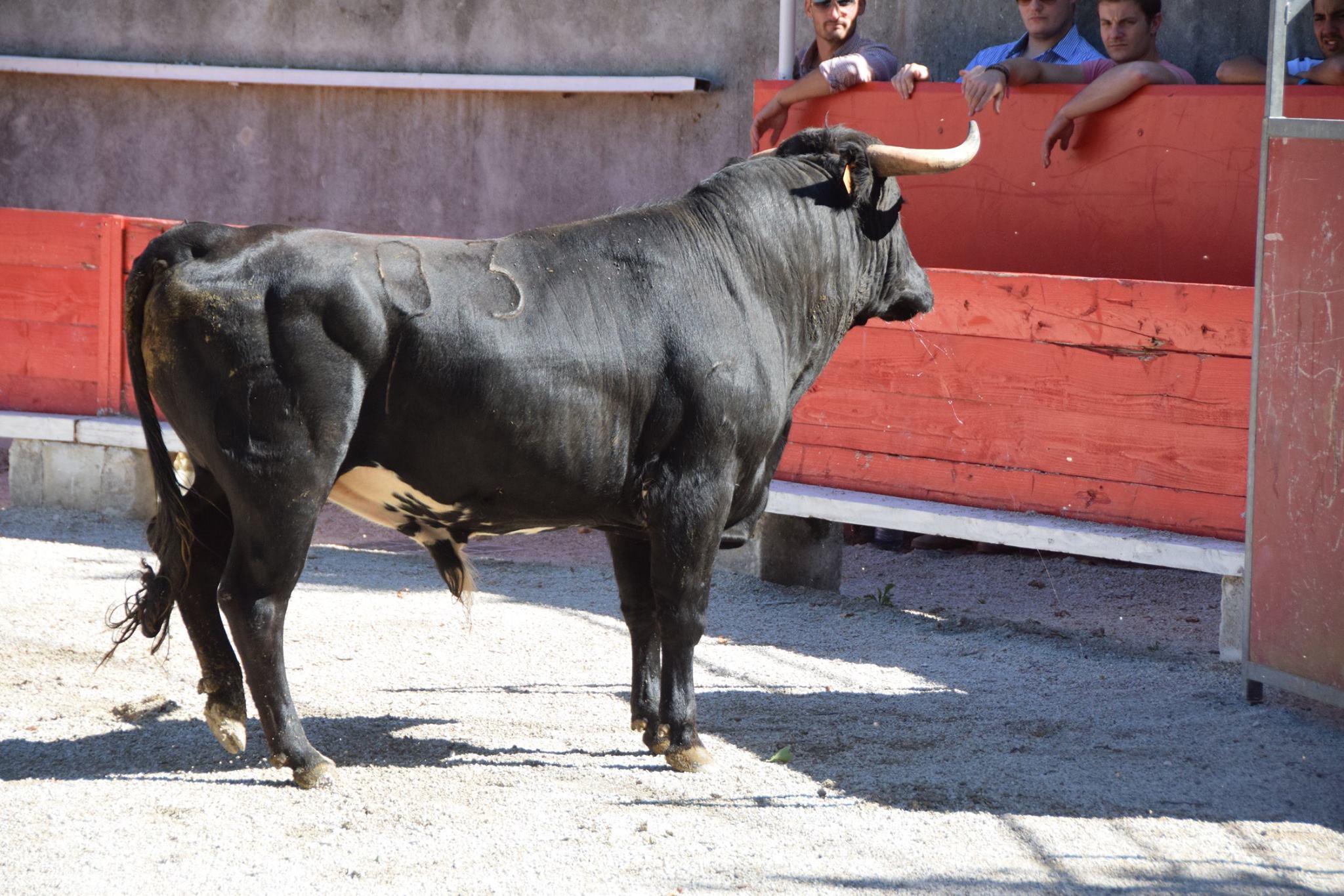 Un weekend non stop pour les élèves du C.F.T. Un weekend non stop pour les élèves du C.F.T.