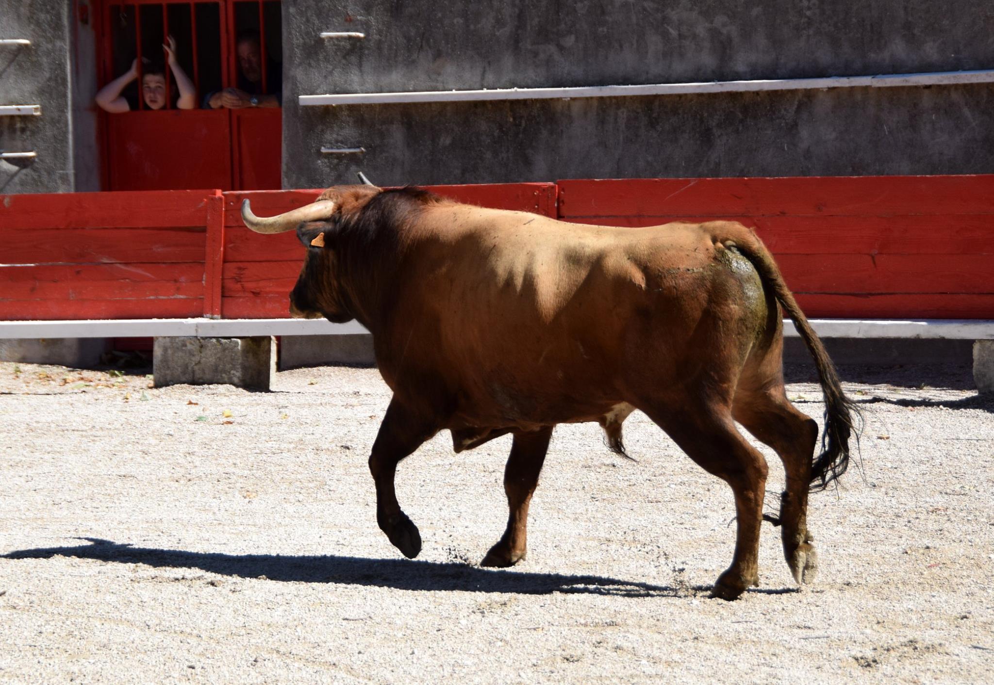 Un weekend non stop pour les élèves du C.F.T. Un weekend non stop pour les élèves du C.F.T.