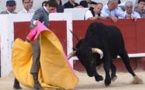 Journées taurines de Béziers...