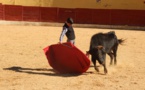 Solalito vainqueur du Trophée Jovencito d'Ouest Provence...