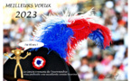 Voeux 2023