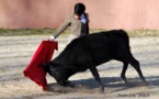 Nino a la Ganaderia La Paluna