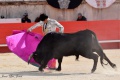 Nimes Terre d'Aficion 2019 Nimes Terre d'Aficion 2019